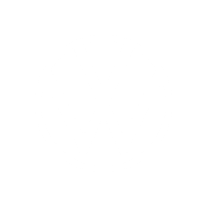 VW Logo