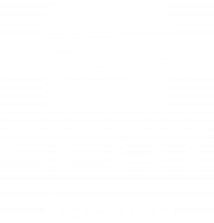 Seat Logo